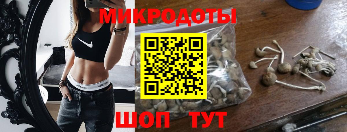 Королёв  купить   Вход с VPN  Псилоцибиновые грибы GOLDEN TEACHER 